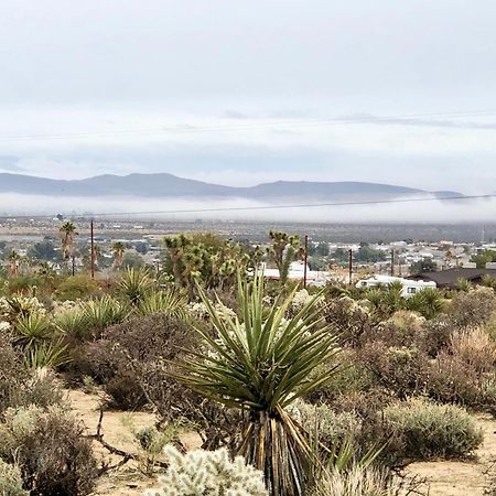 Cozy Desert Retreat With Amazing Views Only 4 Miles To Jtnp Joshua Tree Esterno foto