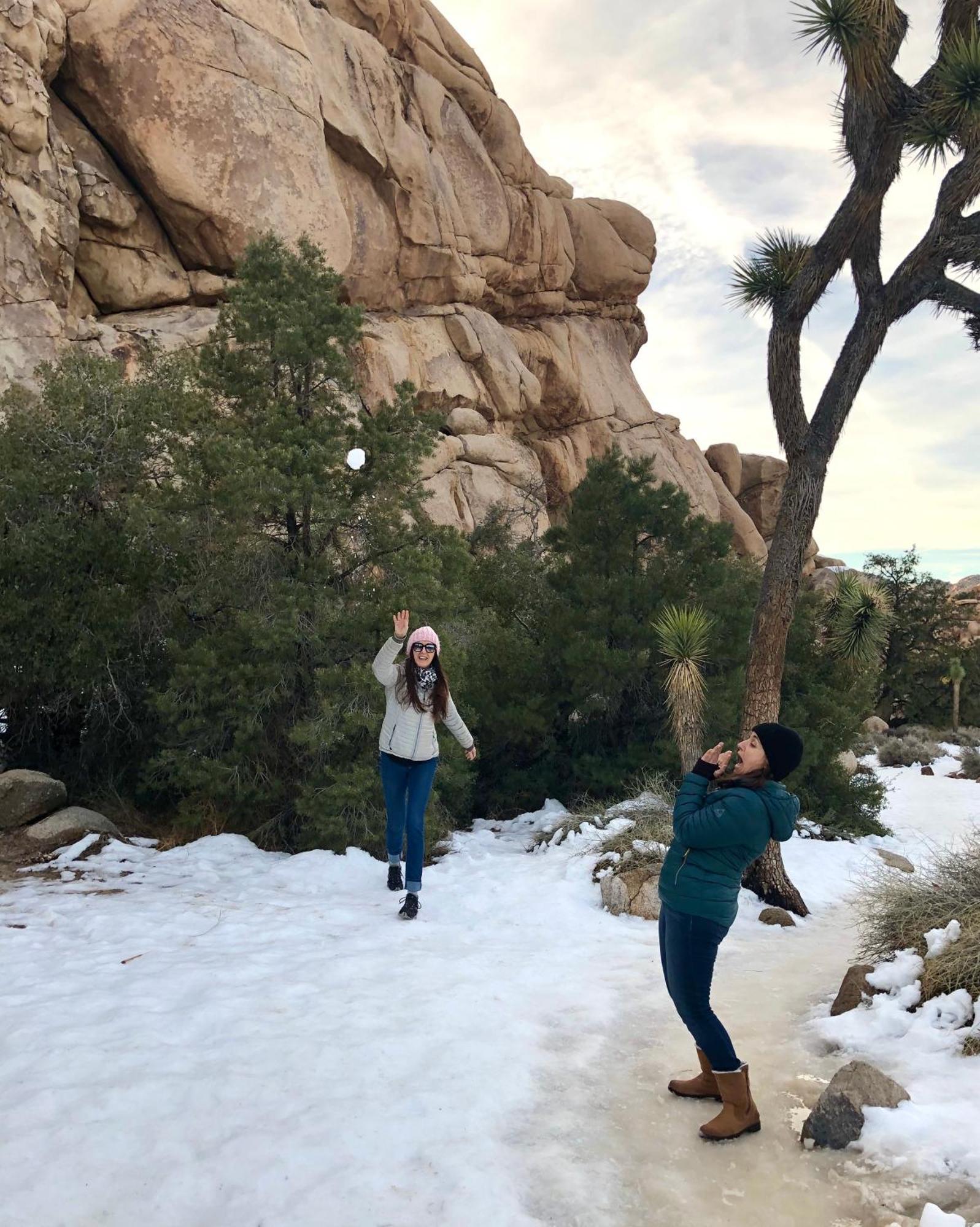 Cozy Desert Retreat With Amazing Views Only 4 Miles To Jtnp Joshua Tree Esterno foto